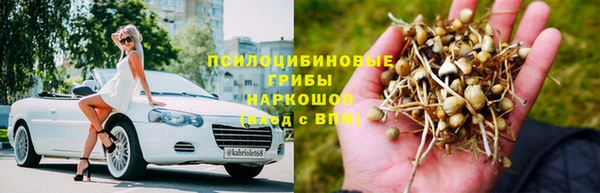 прущие грибы Абдулино