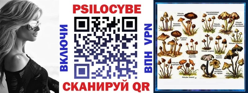 Галлюциногенные грибы MAGIC MUSHROOMS купить наркоту Татарск