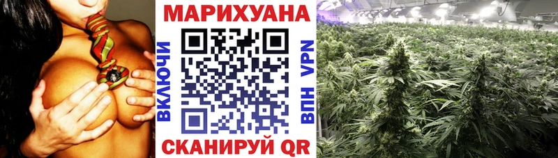 Бошки марихуана индика  где продают наркотики  Татарск 